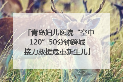 青岛妇儿医院“空中120”50分钟跨城接力救援危重新生儿