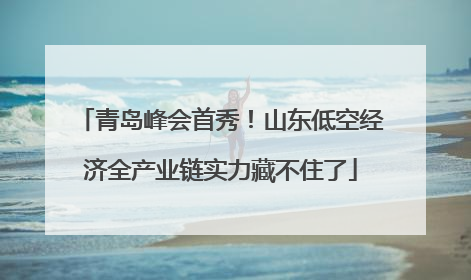 青岛峰会首秀！山东低空经济全产业链实力藏不住了