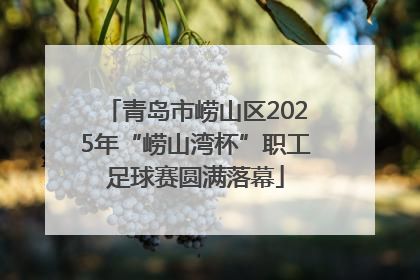 青岛市崂山区2025年“崂山湾杯”职工足球赛圆满落幕