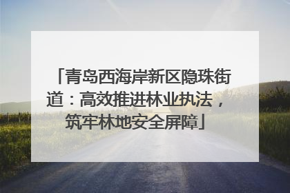 青岛西海岸新区隐珠街道：高效推进林业执法，筑牢林地安全屏障