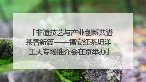 非遗技艺与产业创新共谱茶香新篇——福安红茶坦洋工夫专场推介会在京举办