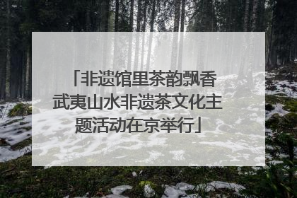 非遗馆里茶韵飘香 武夷山水非遗茶文化主题活动在京举行