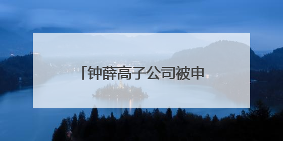 钟薛高子公司被申请破产 创始人账号“钟薛高老林”粉丝仅1800余人