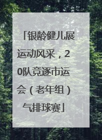 银龄健儿展运动风采，20队竞逐市运会（老年组）气排球赛