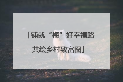 铺就“梅”好幸福路 共绘乡村致富图