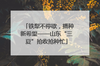铁犁不停歇，播种新希望——山东“三夏”抢收抢种忙