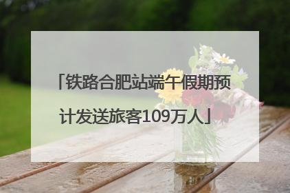 铁路合肥站端午假期预计发送旅客109万人