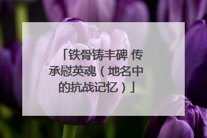 铁骨铸丰碑 传承慰英魂（地名中的抗战记忆）