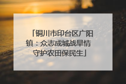 铜川市印台区广阳镇：众志成城战旱情 守护农田保民生
