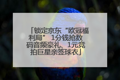 锁定京东“欧冠福利局” 1分钱抢数码音频豪礼、1元竞拍巨星亲签球衣