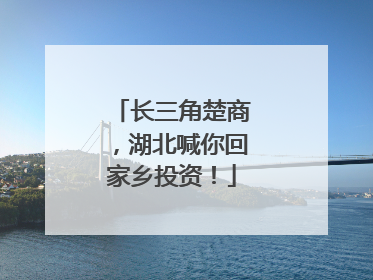 长三角楚商，湖北喊你回家乡投资！