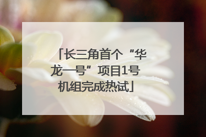 长三角首个“华龙一号”项目1号机组完成热试