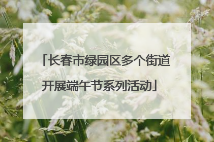 长春市绿园区多个街道开展端午节系列活动
