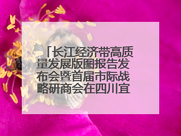 长江经济带高质量发展版图报告发布会暨首届市际战略研商会在四川宜宾成功举办