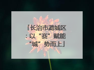 长治市潞城区：以“赛”赋能“城”势而上