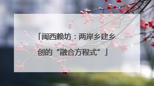 闽西赖坊：两岸乡建乡创的“融合方程式”