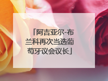 阿吉亚尔-布兰科再次当选葡萄牙议会议长