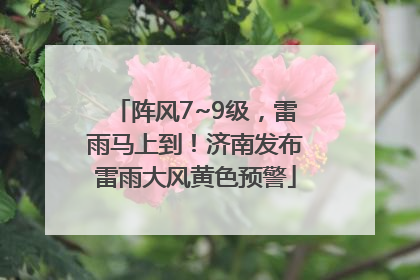 阵风7~9级，雷雨马上到！济南发布雷雨大风黄色预警