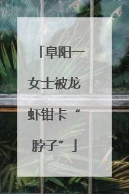 阜阳一女士被龙虾钳卡“脖子”