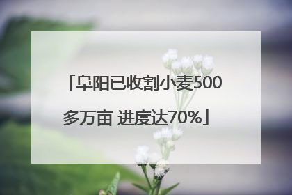 阜阳已收割小麦500多万亩 进度达70%