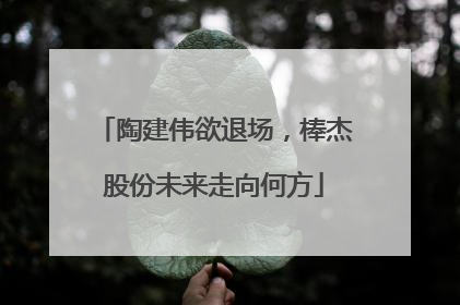 陶建伟欲退场，棒杰股份未来走向何方