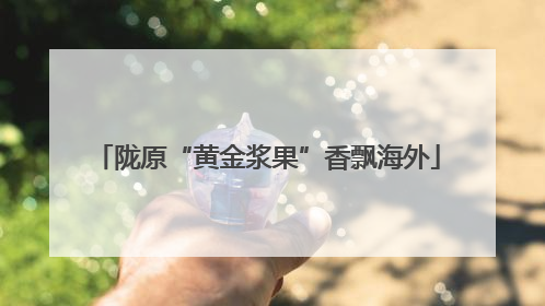 陇原“黄金浆果”香飘海外