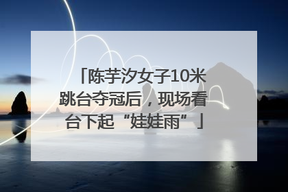 陈芋汐女子10米跳台夺冠后，现场看台下起“娃娃雨”