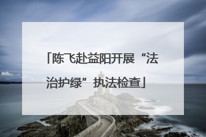 陈飞赴益阳开展“法治护绿”执法检查
