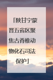陕甘宁蒙晋五省区聚焦古脊椎动物化石司法保护
