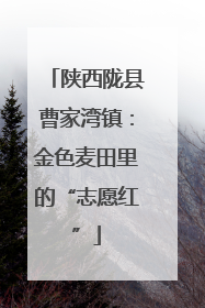 陕西陇县曹家湾镇：金色麦田里的“志愿红”