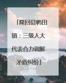 隆回县鸭田镇：三级人大代表合力调解矛盾纠纷