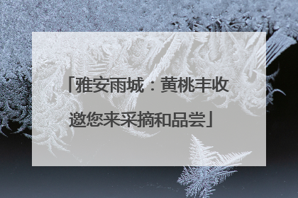 雅安雨城：黄桃丰收 邀您来采摘和品尝
