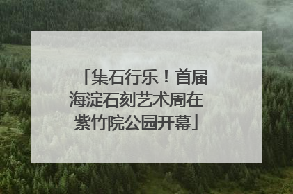 集石行乐！首届海淀石刻艺术周在紫竹院公园开幕