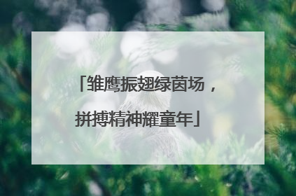 雏鹰振翅绿茵场，拼搏精神耀童年