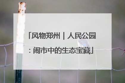 风物郑州｜人民公园：闹市中的生态宝藏