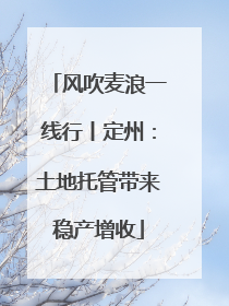 风吹麦浪一线行丨定州：土地托管带来稳产增收