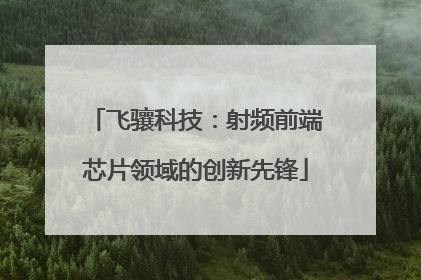 飞骧科技：射频前端芯片领域的创新先锋