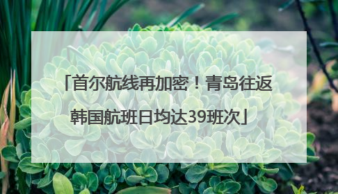 首尔航线再加密！青岛往返韩国航班日均达39班次