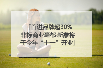 首进品牌超30% 非标商业亳都·新象将于今年“十一”开业