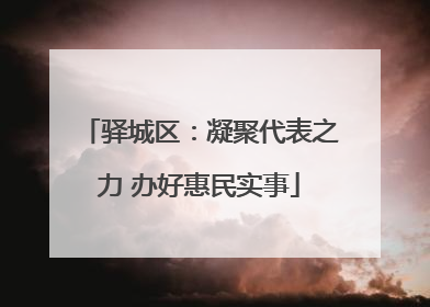 驿城区：凝聚代表之力 办好惠民实事
