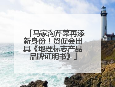 马家沟芹菜再添新身份！贸促会出具《地理标志产品品牌证明书》