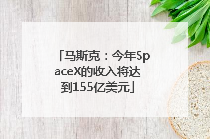 马斯克：今年SpaceX的收入将达到155亿美元