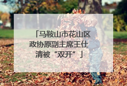马鞍山市花山区政协原副主席王仕清被“双开”