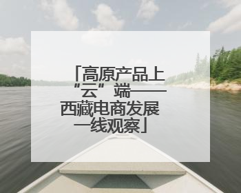 高原产品上“云”端——西藏电商发展一线观察