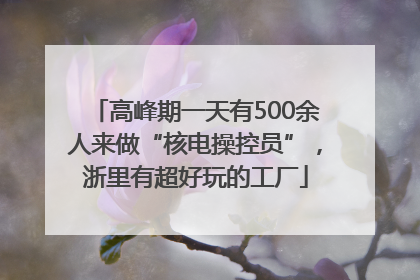 高峰期一天有500余人来做“核电操控员”，浙里有超好玩的工厂