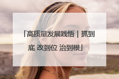 高质量发展践悟｜抓到底 改到位 治到根