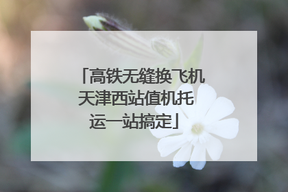 高铁无缝换飞机 天津西站值机托运一站搞定