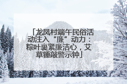 龙凤村端午民俗活动注入“廉”动力：粽叶裹紧廉洁心，艾草锤敲警示钟