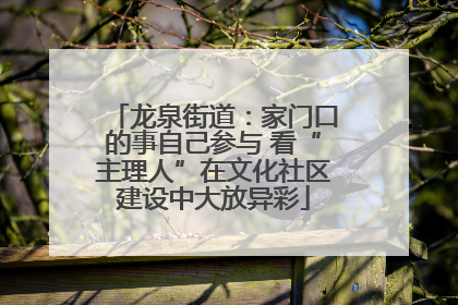 龙泉街道：家门口的事自己参与 看“主理人”在文化社区建设中大放异彩