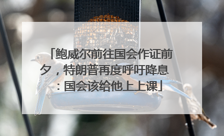 鲍威尔前往国会作证前夕，特朗普再度呼吁降息：国会该给他上上课